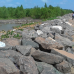 Boulders form a sea defense in Guyana's coastal West Berbice area. ALERTNET/Johann Earle