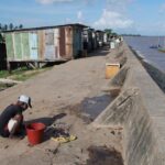 A land beneath the sea - The seawall at Meten-Meer-Zorg, Guyana