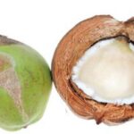 Green Coconut Husks (Photo Courtesy of Essentium Materials, LLC)