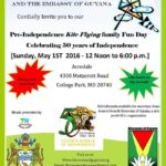 kite flying fun day 2016